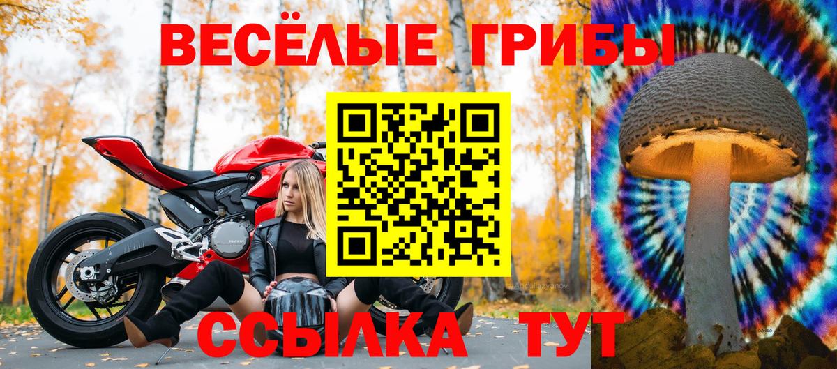 Уварово  Галлюциногенные грибы Cubensis  Вход с VPN  Галлюциногенные грибы ЛСД 