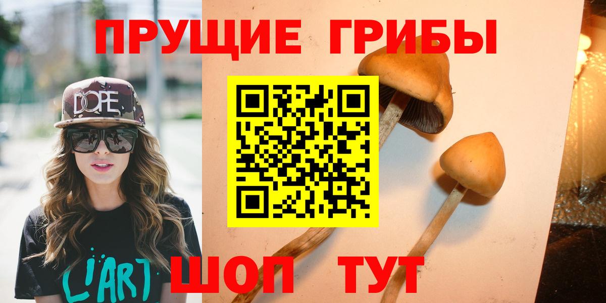 Псилоцибиновые грибы Cubensis Уварово